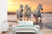 Behang - Fotobehang Paarden - Zon - Zee - Strand - Dieren - Breedte 450 cm x hoogte 300 cm