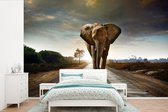 Behang - Fotobehang Olifant - Weg - Dieren - Zonsondergang - Landschap - Breedte 360 cm x hoogte 240 cm