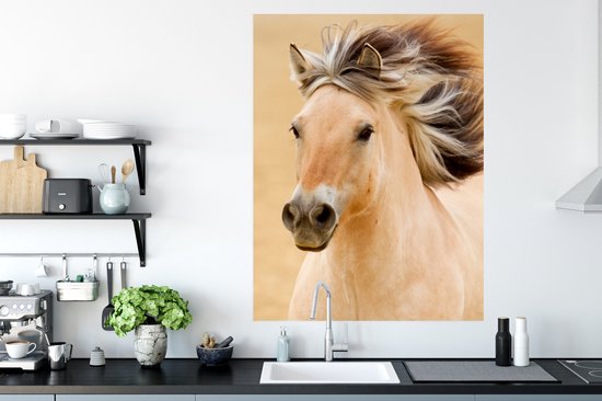 Affiche Paarden - Animaux - Crinières - Portrait - 90x120 cm