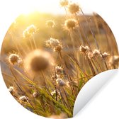 WallCircle - Muurstickers - Behangcirkel - Planten - Natuur - Bloemen - Zon - Horizon - 50x50 cm - Muurcirkel - Zelfklevend - Ronde Behangsticker