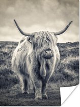 Poster Schotse hooglander - Dieren - Wolken - Koe - Natuur - 120x160 cm XXL