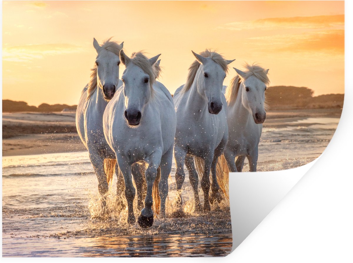 Muurstickers - Sticker Folie - Paarden - Water - Strand - Dieren - 120x90 cm - Plakfolie -