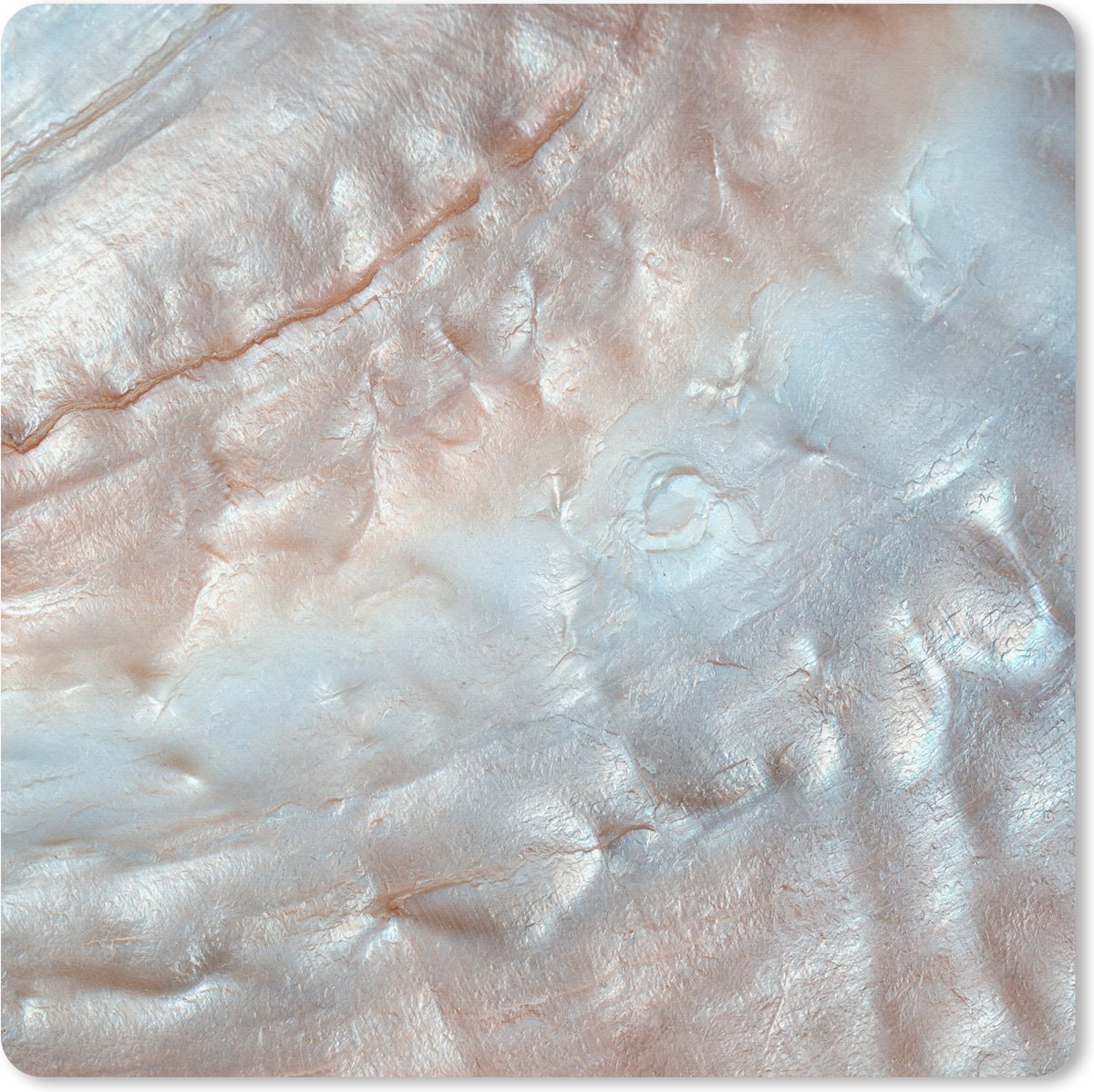 Muismat 20x20 cm - Mousepad Schelpen - Abstract - Natuur - Muismatten