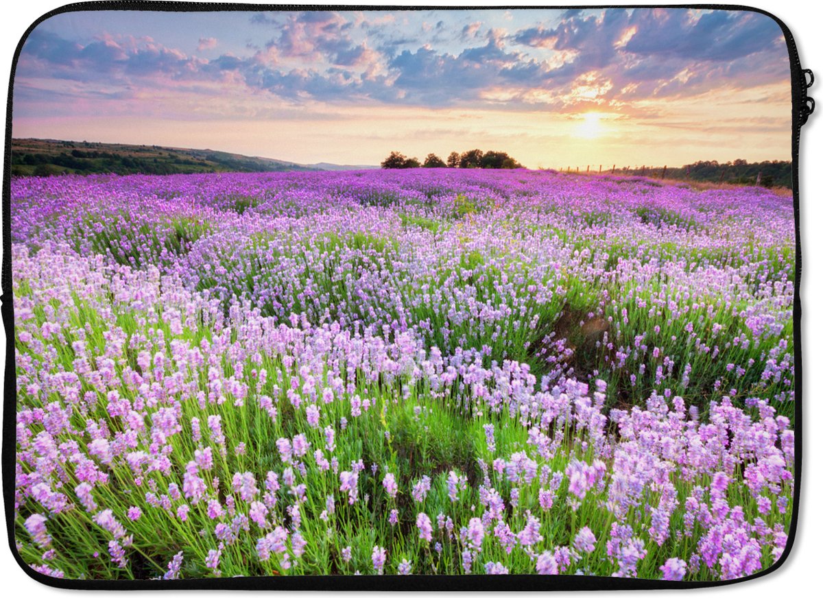 Laptophoes 14 inch - Bloemen - Lavendel - Paars - Lucht - Zonsondergang - Weide - Natuur - Laptop sleeve - Binnenmaat 33x23 cm - Zwarte achterkant