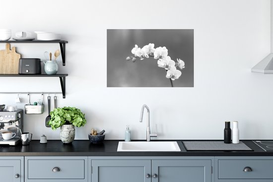 Affiche Orchidée - Fleurs - Plante - Wit - Violet - 60x40 cm