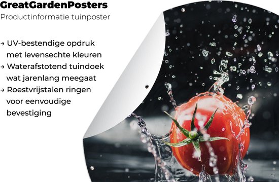 Tuincirkel Tomaat - Groente - Stilleven - Water - Rood - 120x120 cm - Ronde Tuinposter - Buiten