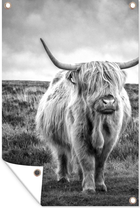 Affiche jardin - Toile Posters de jardin extérieur - Highlander écossais - Animaux - Nuages - Vache - Nature - 80x120 cm - Jardin