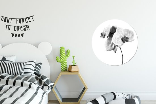 WallCircle - Wandcirkel ⌀ 60 - Orchideebloem tegen een witte achterrond - zwart wit - Ronde schilderijen woonkamer - Wandbord rond - Muurdecoratie cirkel - Kamer decoratie binnen - Wanddecoratie muurcirkel - Woonaccessoires