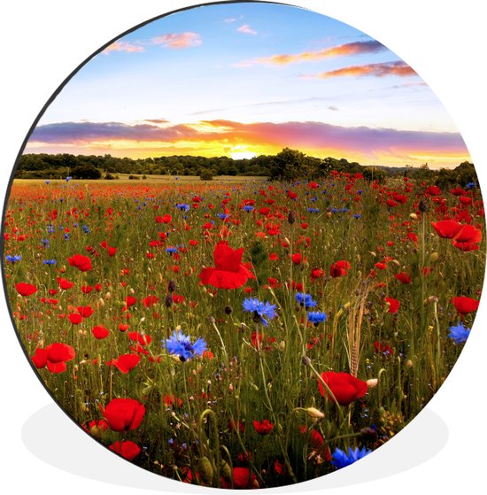 WallCircle - Wandcirkel - Muurcirkel - Bloemen - Zonsondergang - Kleuren - Aluminium - Dibond - ⌀ 60 cm - Binnen en Buiten