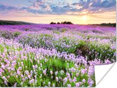 Poster Bloemen - Lavendel - Paars - Lucht - Zonsondergang - Weide - Natuur - 80x60 cm