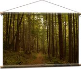 WallClassics - Affiche Textile - Forêt avec Chemin de Marche - 90x60 cm Photo sur Textile