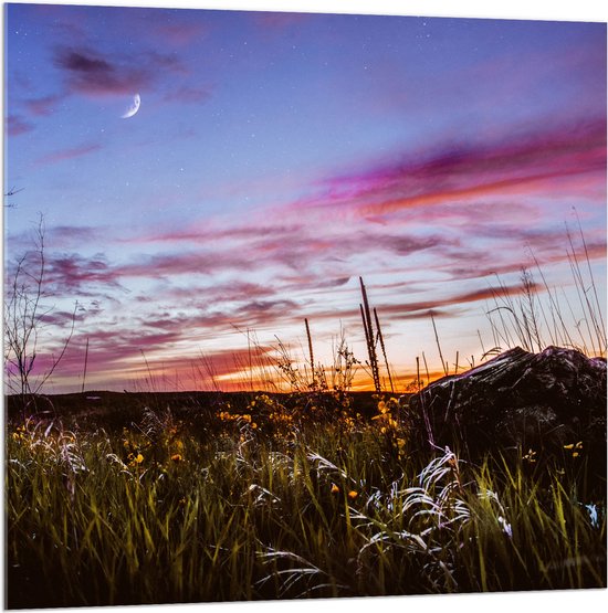 WallClassics - Acrylglas - Roze Wolken in de Lucht - 100x100 cm Foto op Acrylglas (Met Ophangsysteem)