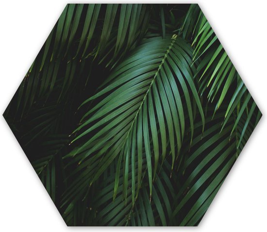 Hexagon wanddecoratie - Kunststof Wanddecoratie - Hexagon Schilderij - Palmbladeren - Palmen - Tropical - 120x103 cm