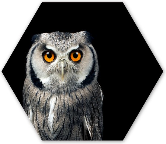 Hexagon wanddecoratie - Kunststof Wanddecoratie - Hexagon Schilderij - Uil - Vogel - Oranje - Zwart - 120x103 cm
