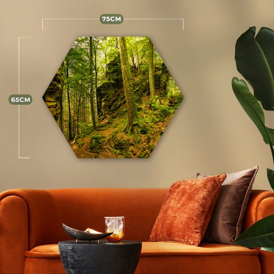 Décoration murale Hexagone - Décoration murale Plastique - Peinture Hexagone - Arbres - Pierre - Forêt - Nature - Plantes - 75x65 cm