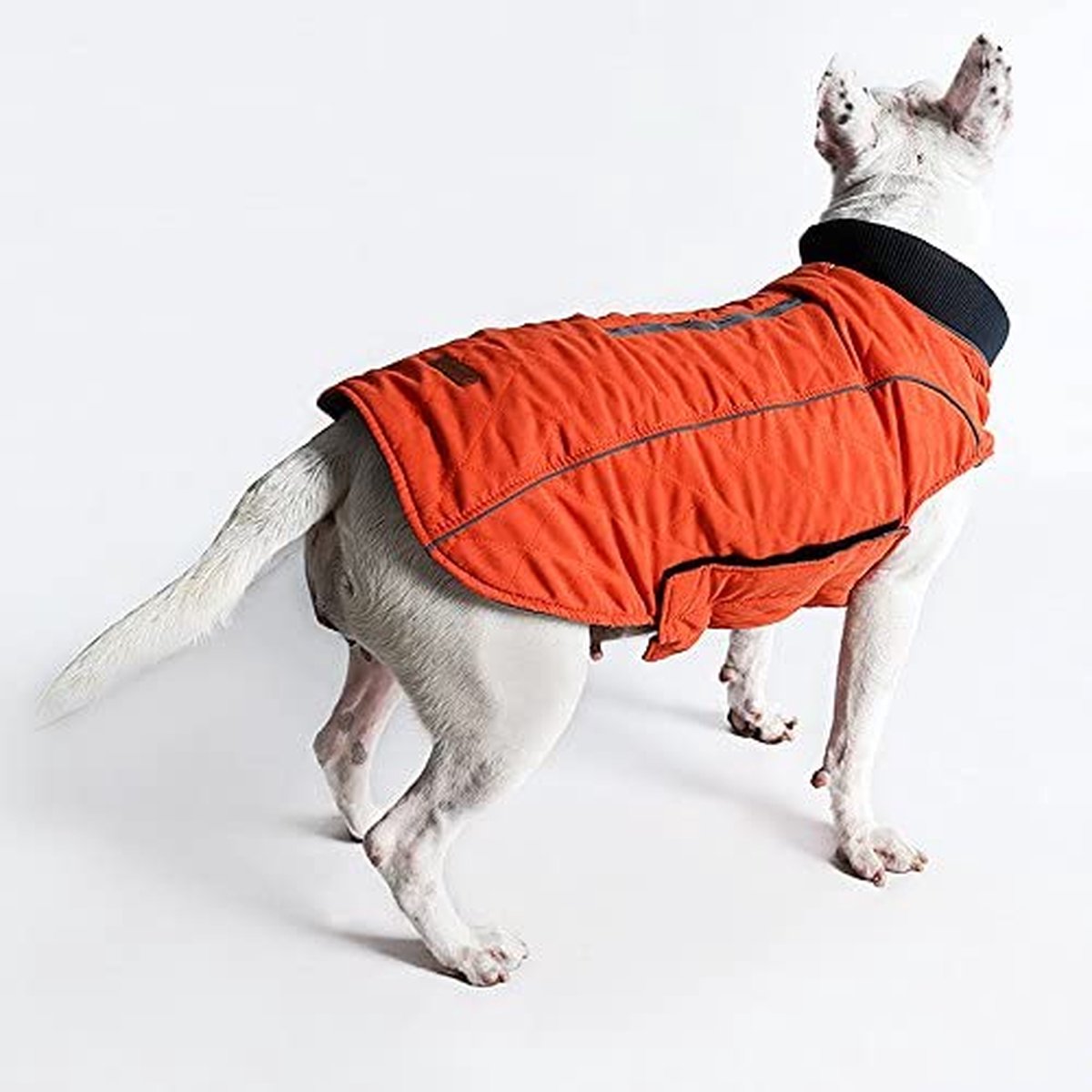 Animaux domestiques Vêtements d'hiver chaud pour chien, 7 tailles