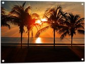 WallClassics - Tuinposter – Palmbomen op het Strand bij Zonsondergang - 80x60 cm Foto op Tuinposter  (wanddecoratie voor buiten en binnen)