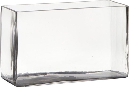 Transparante rechthoek accubak vaas/vazen van glas 25 x 10 x 15 | bol.com