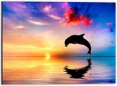 WallClassics - Dibond - Silhouet van Dolfijn bij Ondergaande Zon in het Water - 40x30 cm Foto op Aluminium (Met Ophangsysteem)