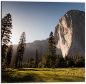 WallClassics - Dibond - Open Veld en Bos Langs Hele Hoge Berg - 50x50 cm Foto op Aluminium (Met Ophangsysteem)