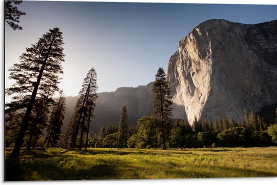 WallClassics - Dibond - Open Veld en Bos Langs Hele Hoge Berg - 75x50 cm Foto op Aluminium (Wanddecoratie van metaal)