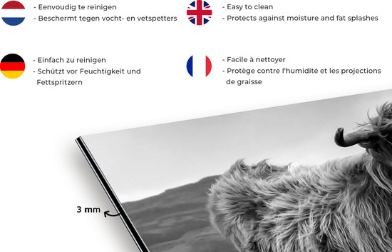 Spatscherm keuken 80x40 cm - Kookplaat achterwand Schotse Hooglander - Berg - Water - Natuur - Koe - Muurbeschermer - Spatwand fornuis - Hoogwaardig aluminium