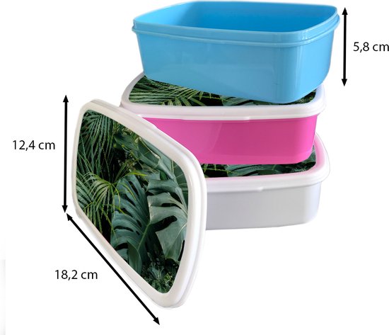 Lunchbox Blauw - Lunchbox - Boîte à pain - Plantes - Jungle - Feuilles - Tropical - 18x12x6 cm - Enfants - Garçon