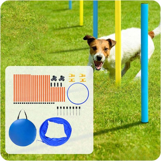 Negen Vrijwel Het beste Honden Agility Training Set - Hondenspeelgoed - Intelligentie &  Gehoorzaamheid -... | bol.com