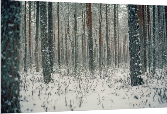 WallClassics - Dibond - Vallende Sneeuwvlokken in het Bos - 150x100 cm Foto op Aluminium (Met Ophangsysteem)