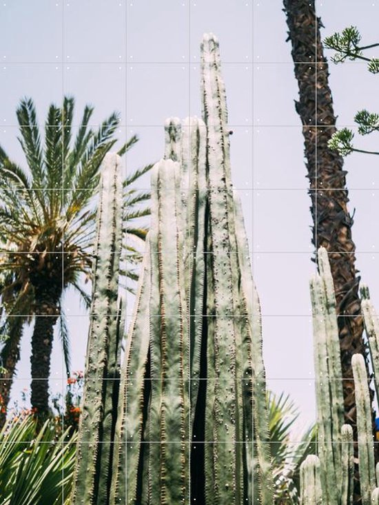 IXXI Palmeraie Cactus - Wanddecoratie - Fotografie - 120 x 160 cm