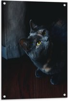 WallClassics - Tuinposter – Zwarte Kat - 60x80 cm Foto op Tuinposter  (wanddecoratie voor buiten en binnen)