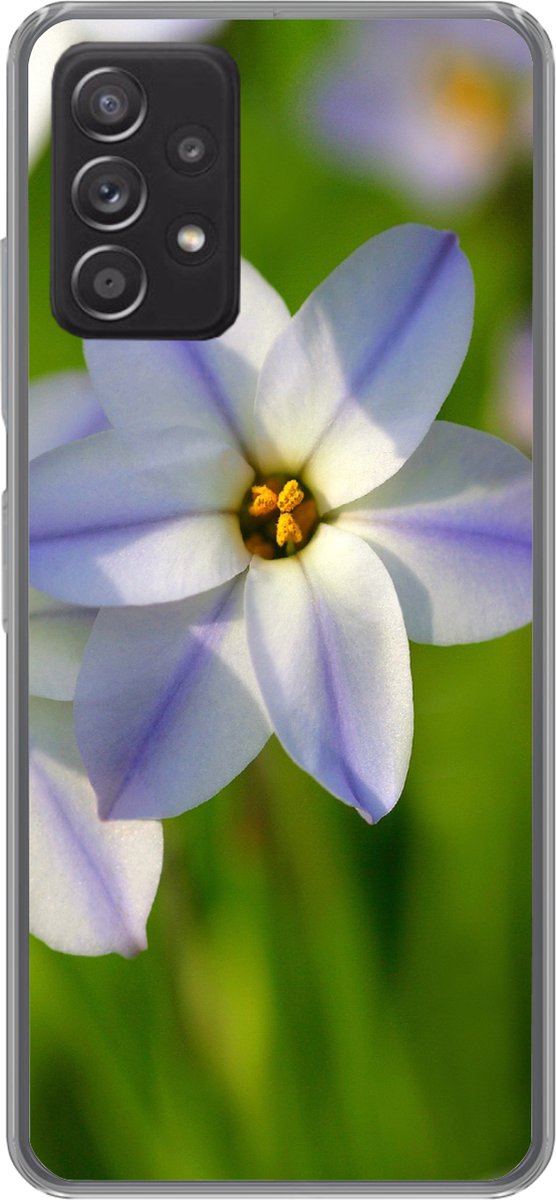 Telefoonhoesje Geschikt voor Samsung Galaxy A53 5G hoesje - Bloemen - Tuin - Paars - Siliconen Telefoonhoesje Telefoonhoesje