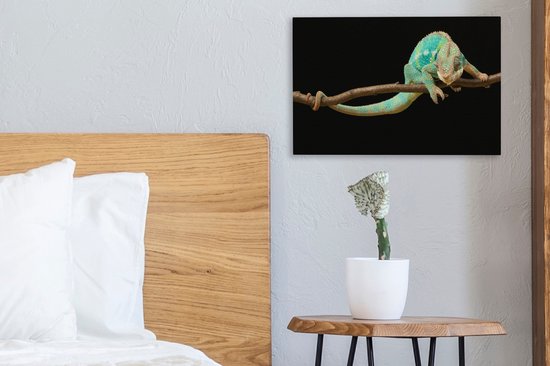 Studio shot caméléon sur toile branche 2cm 30x20 cm - petit - Tirage photo sur toile (Décoration murale salon / chambre) / animaux sauvages Peintures sur toile