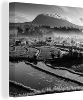 Tableau Peinture Indonésie - Riz - Zwart - Wit - 90x90 cm - Décoration murale