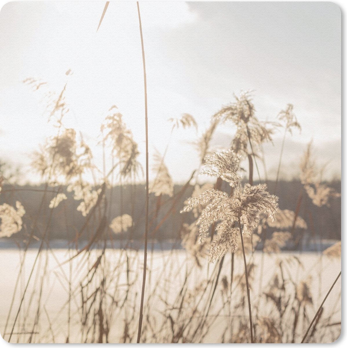 Muismat 30x30 cm - Mousepad Water - Pampasgras - Planten - Muismatten
