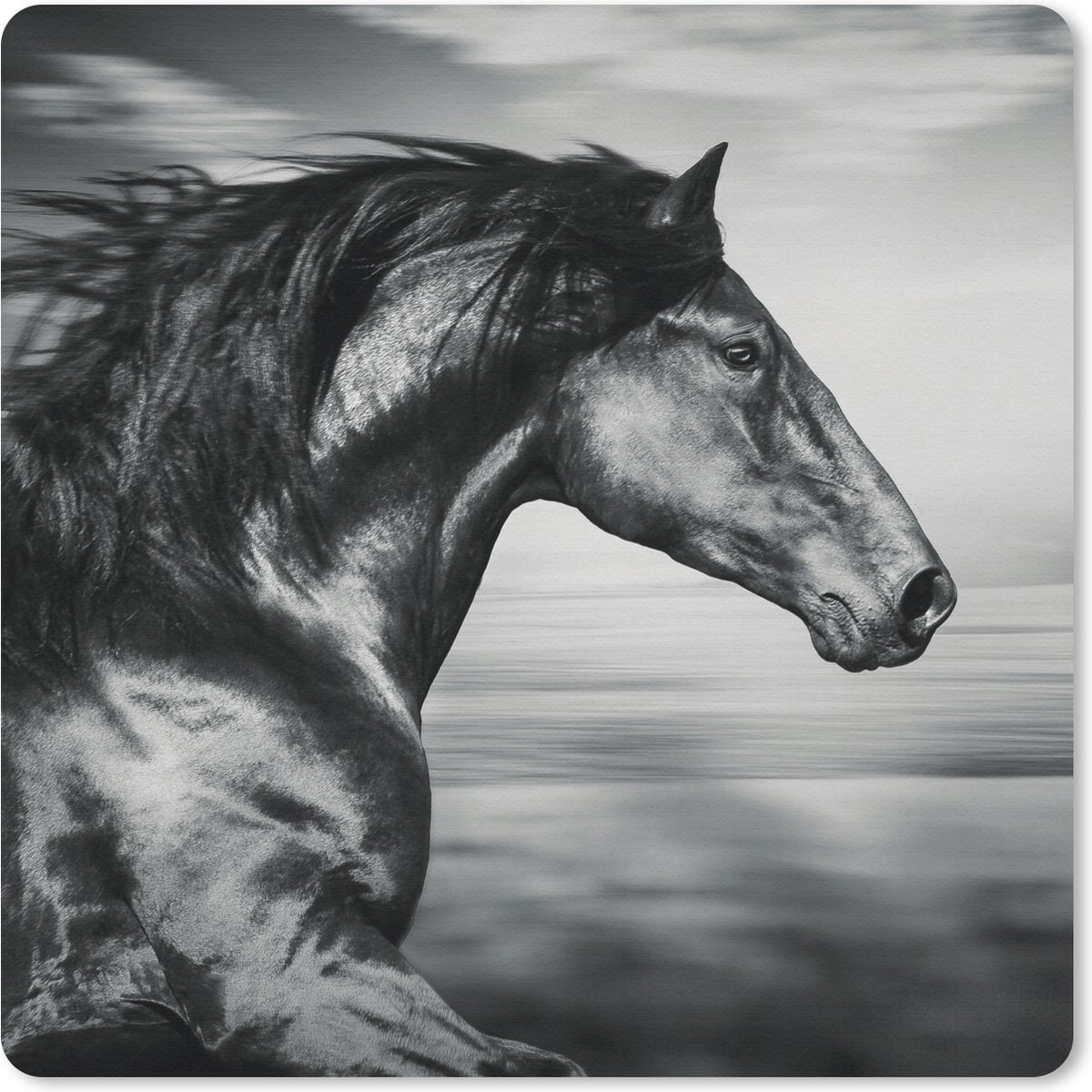 Muismat 20x20 cm - Mousepad Paard - Dieren - zwart - Wit - Muismatten