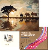 ARTECO® Schilderen Op Nummer – Painting By Numbers – Volwassenen + Kinderen – Met Frame – Olifanten in savanne - Cadeau