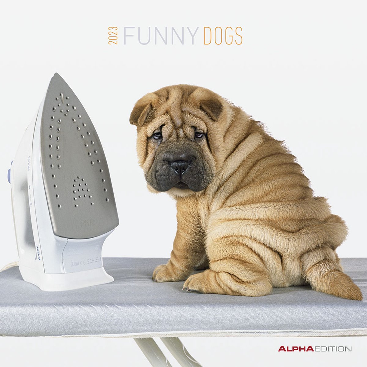 Funny Dogs 2023 30x30