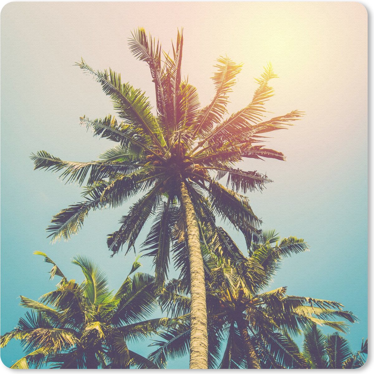 Muismat 30x30 cm - Mousepad Palmboom - Zomer - Tropisch - Zon - Muismatten