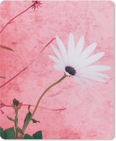 Bureau onderlegger 30x40 cm - Muismat Bloemen - Roze - Vintage - Bureaulegger xl - Desk mat beschermer - Computer muismatten