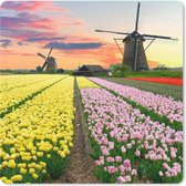 Muismat 20x20 cm - Mousepad Windmolen - Tulpen - Bloemen - Nederland - Muismatten
