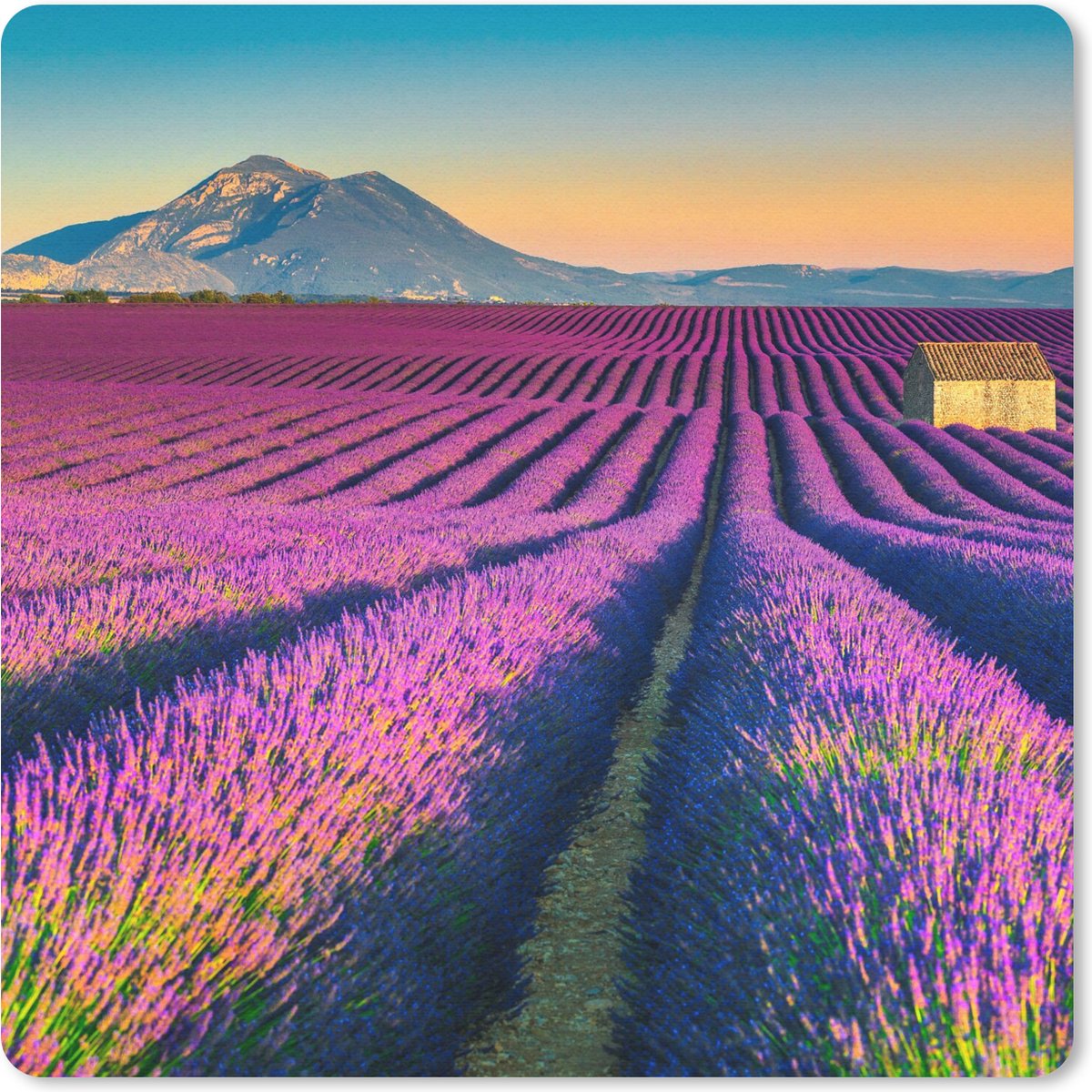 Muismat 30x30 cm - Mousepad Lavendel - Berg - Bloemen - Muismatten