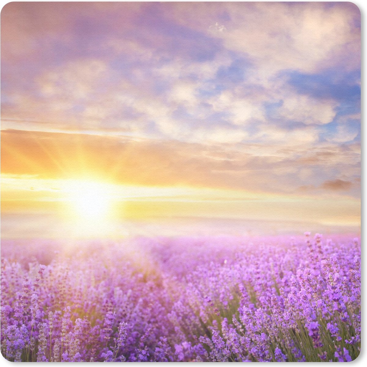 Muismat 30x30 cm - Mousepad Lavendel - Zon - Lucht - Natuur - Muismatten