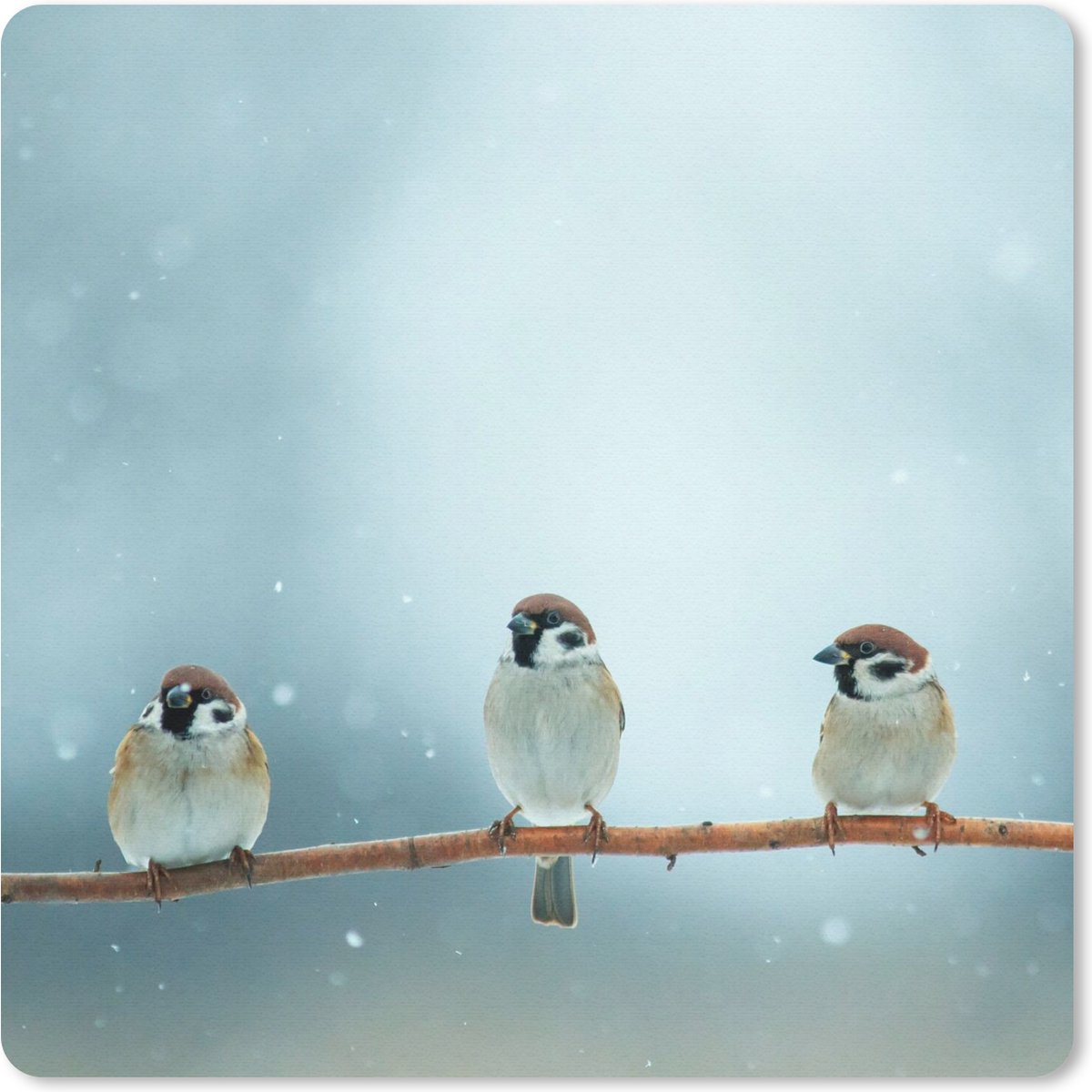 Muismat 30x30 cm - Mousepad Vogels - Mus - Sneeuw - Winter - Muismatten
