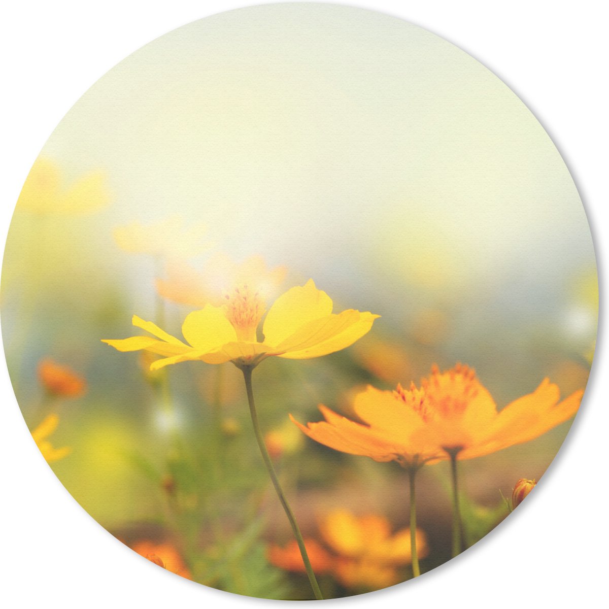 Muismat rond 30x30 cm - Mousepad Bloemen - Landschap - Geel - Ronde muismatten