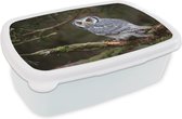 Broodtrommel Wit - Lunchbox - Brooddoos - Uil - Vogel - Takken - Natuur - 18x12x6 cm - Volwassenen