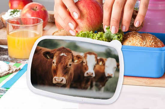 Lunchbox Blauw - Lunchbox - Boîte à pain - Vaches - Herbe - Clôture - 18x12x6 cm - Enfants - Garçon