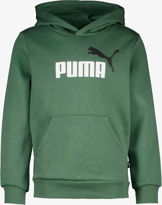 Puma Big logo heren hoodie - Groen - Maat S | bol.com
