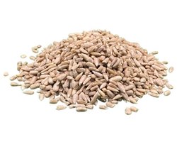 Zonnebloempitten gepeld - 25kg