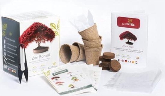 Cultivea Duo Bonsai Mini-Set - 6 Bonsaibomen Kweken - Complete Starterset  Met Potten & Accessoires - Gemaakt In Frankrijk Bonsai Set